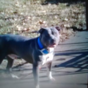 Meet your Posher, Chico